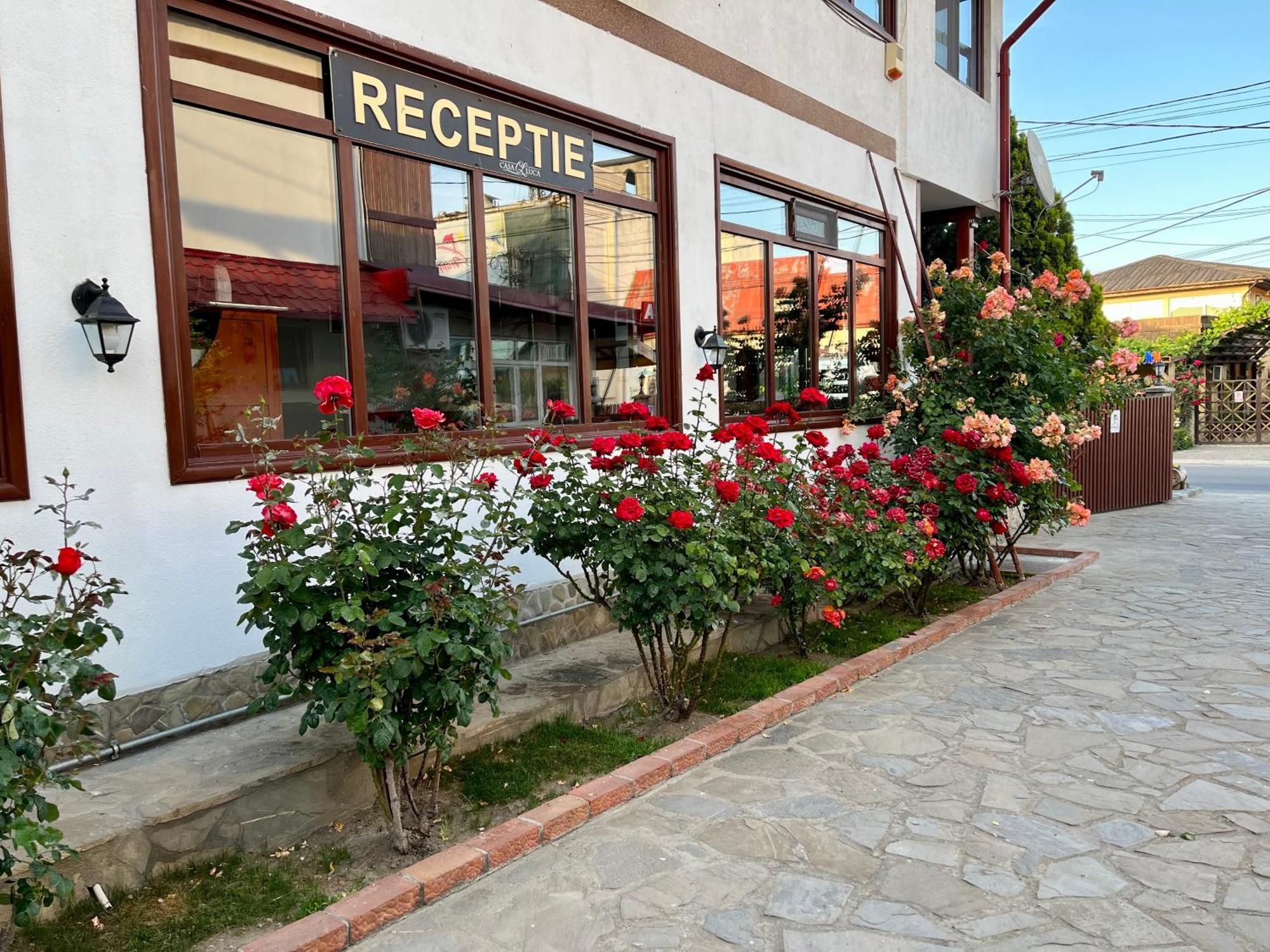 Casa Luca Hotel Vama Veche Buitenkant foto