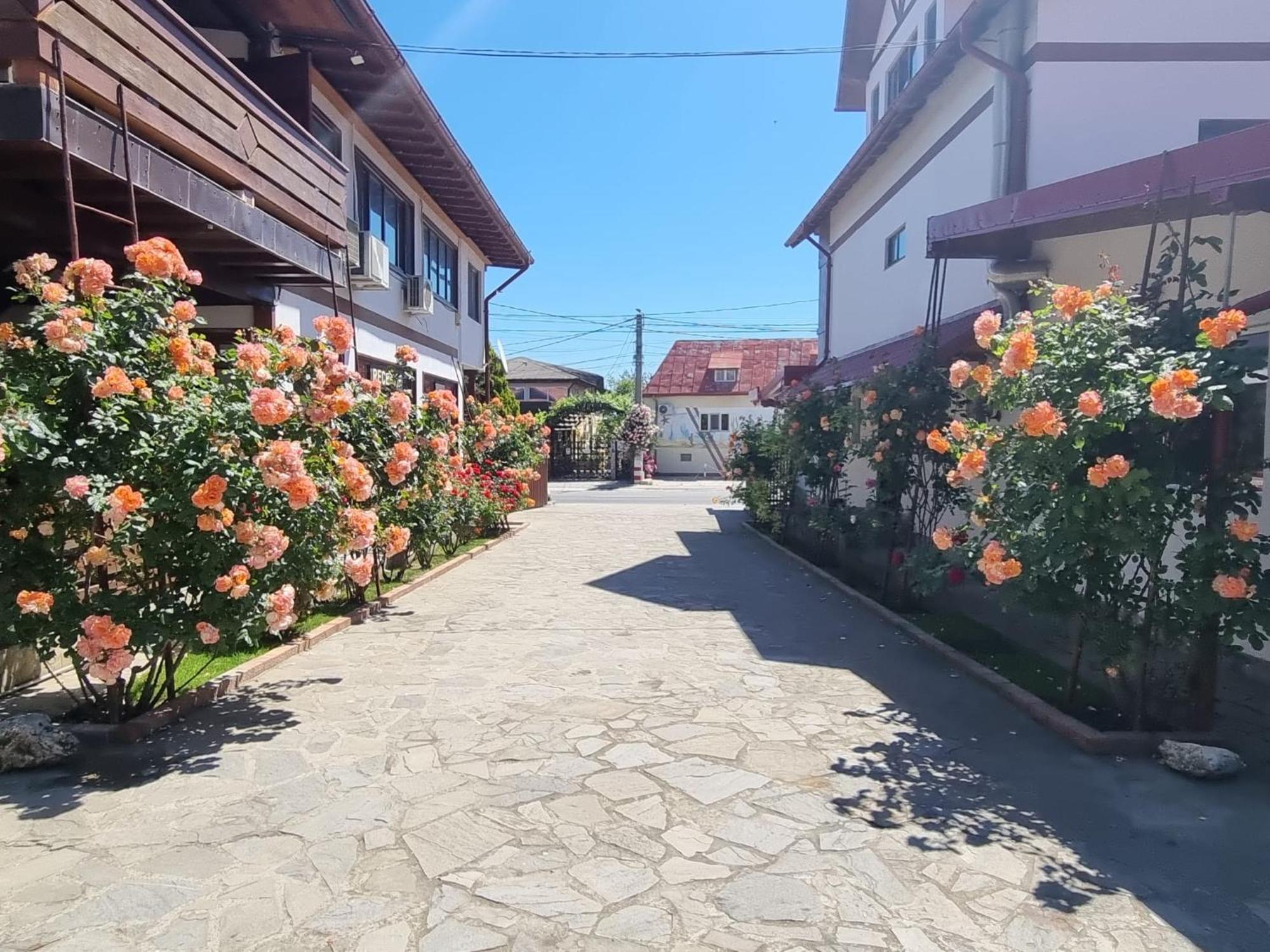 Casa Luca Hotel Vama Veche Buitenkant foto